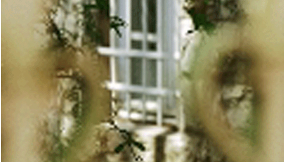 תערוכת צילומים - "ירושלים-מאחורי הגדר" תערוכת צילומים - "ירושלים-מאחורי הגדר"